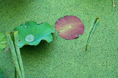 《勇敢的心：叶落归根》发售 支持全平台游玩